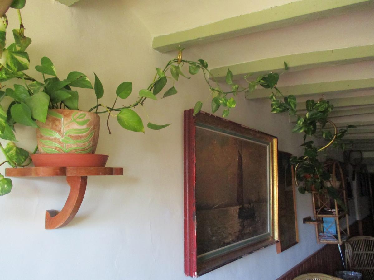 Casa Los Angeles Apartment บิยาโฮโยซา ภายนอก รูปภาพ